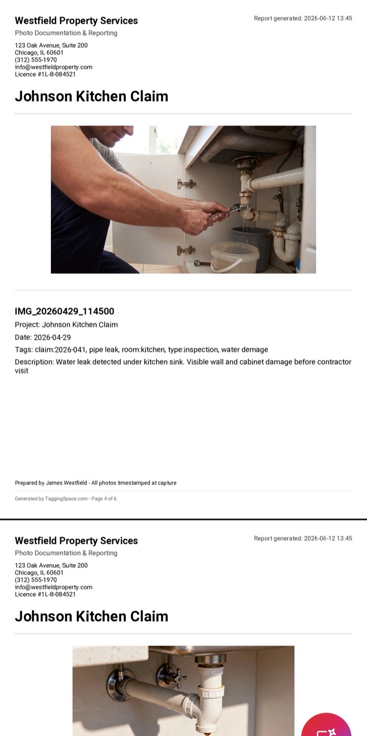 PDF report showing construction damage evidence photos with repair activity, timestamps, and tags